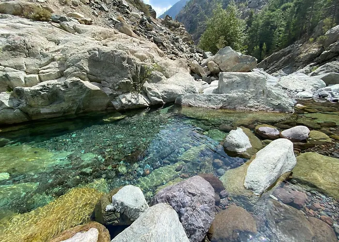 Daire Appartement Ajaccio *